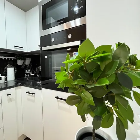 New Charm Apartments Near Border Narva Exterior photo